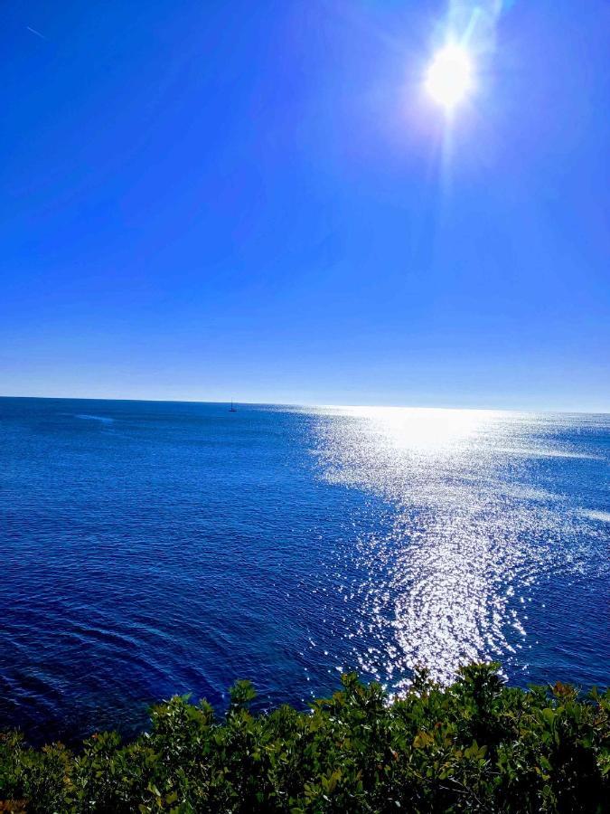 Апартаменты Perla De Mar Ла-Амеллья-де-Мар Экстерьер фото